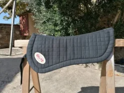 Amortisseur Amortisseurs De Dos