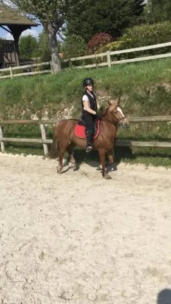 Online Air bag super etat Femme Les Jeunes En Concours|Les Enfants En Concours