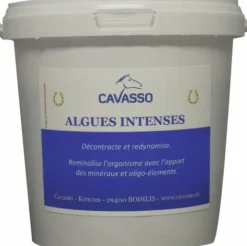 Online Algues intenses Premium - Forme Et Performances·Vitamines Et Minéraux