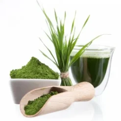 Outlet All in Guts Appareil Digestif·Facilite Le Transit|Bien-Être Du Cheval·Plantes Pour Chevaux