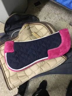 amortisseur Amortisseurs De Dos