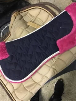 amortisseur Amortisseurs De Dos