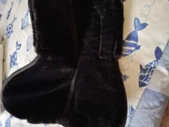 Amortisseur Amortisseurs De Dos