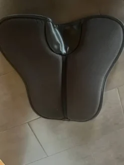 Clearance Amortisseur Absorb Kentucky Amortisseurs De Dos