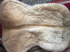 Sale Amortisseur Felix bühler Amortisseurs De Dos