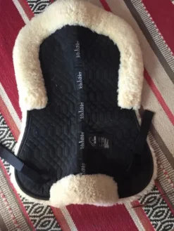 Sale Amortisseur Felix bühler Amortisseurs De Dos