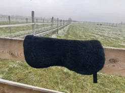 Online Amortisseur mouton Amortisseurs De Dos