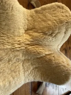 Best Amortisseur mouton Werner Amortisseurs De Dos