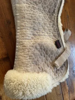 Best Amortisseur mouton Werner Amortisseurs De Dos