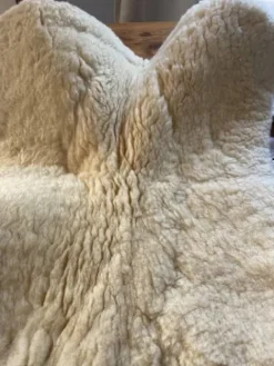 Best Amortisseur mouton Werner Amortisseurs De Dos