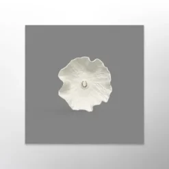 Art équestre - Porcelaine X Atelier Douarn Décorations