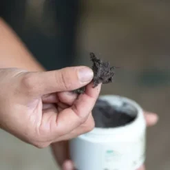 Sale Bactifongic Pâte Fibrée Bio Argile Verte Force 4 Produits De Soin Sabots