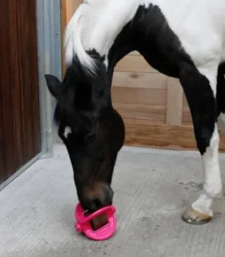 New Balle 3 en 1 Bizzy Ball - Bizzy Horse Aménagement De L'Écurie·Jouets Pour Chevaux