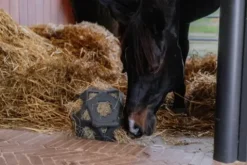 Sale Balle à foin - Kentucky Matériel Pour L'Alimentation·Filets à Foin