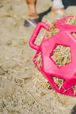 Sale Balle à foin - Kentucky Matériel Pour L'Alimentation·Filets à Foin