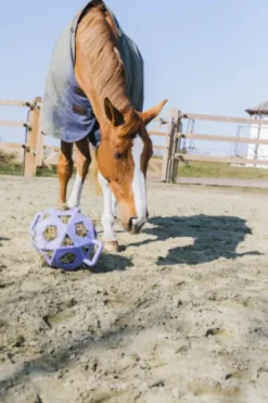 Sale Balle à foin - Kentucky Matériel Pour L'Alimentation·Filets à Foin