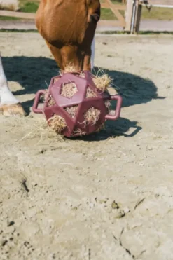 Sale Balle à foin - Kentucky Matériel Pour L'Alimentation·Filets à Foin