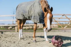 Sale Balle à foin - Kentucky Matériel Pour L'Alimentation·Filets à Foin
