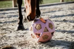 Sale Balle à foin - Kentucky Matériel Pour L'Alimentation·Filets à Foin