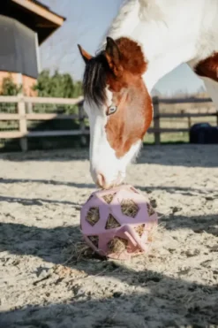 Sale Balle à foin - Kentucky Matériel Pour L'Alimentation·Filets à Foin