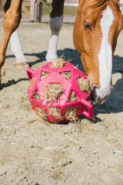 Sale Balle à foin - Kentucky Matériel Pour L'Alimentation·Filets à Foin
