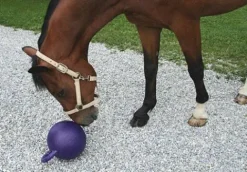Hot Balle à jouer chevaux Aménagement De L'Écurie·Jouets Pour Chevaux