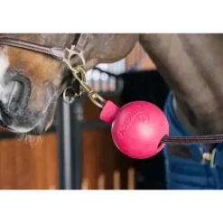 New Balle de protection d'attache - Kentucky Licols Et Longes