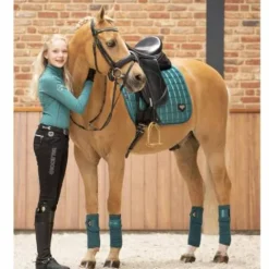 Best Bandages de polo Loire - Bandages