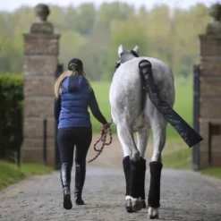 Clearance Bande de repos - Kentucky Bandages|Bandes De Repos