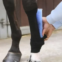 Hot Bande pour chaussettes Tendon Grip - Kentucky Bandages|Bandes De Repos