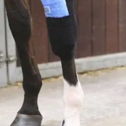 Hot Bande pour chaussettes Tendon Grip - Kentucky Bandages|Bandes De Repos