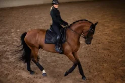 Discount Bandes de polo All Black Glimmer - Bandages