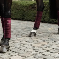 Bandes de polo avec bord cuir - Kentucky Bandages