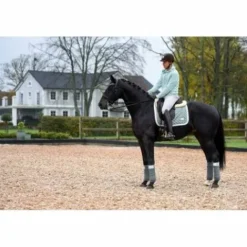 Best Bandes de polo BE TEMPTED Peppermint Cakepop - Bandages