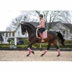 Best Bandes de polo BE TEMPTED Candyfloss - Bandages