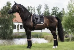 Online Bandes de polo Black/Peach - Bandages