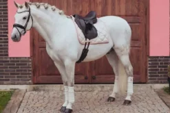 Online Bandes de polo - Desert Rose Bandages