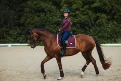 Sale Bandes de polo - CRYSTAL MERLOT GOLD Bandages