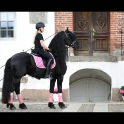 Online Bandes de polo My Passion - Divine Rose Bandages