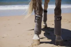 Bandes de polo Sportive Blue Ash - Bandages