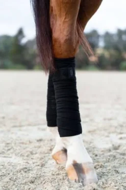 Bandes de polo Total Eclipse - Bandages