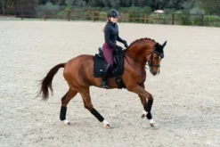 Bandes de polo Total Eclipse - Bandages