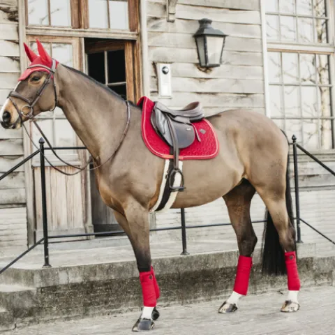 New Bandes de polo Velvet - Kentucky Bandages