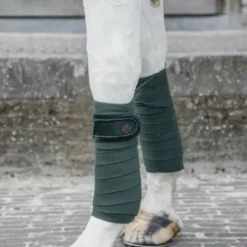 Hot Bandes de polo Velvet Pearl - Kentucky Bandages