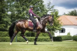 Outlet Bandes polaire Black Cherry - Bandages