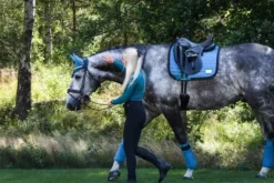 Sale Bandes polaire bleu Canard - Pool Party - Bandages