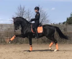 Bandes polaire Sweet Clementine - Bandages