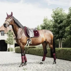 New Bandes polaires New Style - Kentucky Bandages