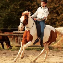 RIDE ON physio – SUPPORT Tapis De Selle|Tapis De Selle