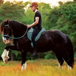 Best RIDE ON physio : trois couleurs au choix Tapis De Selle|Tapis De Selle